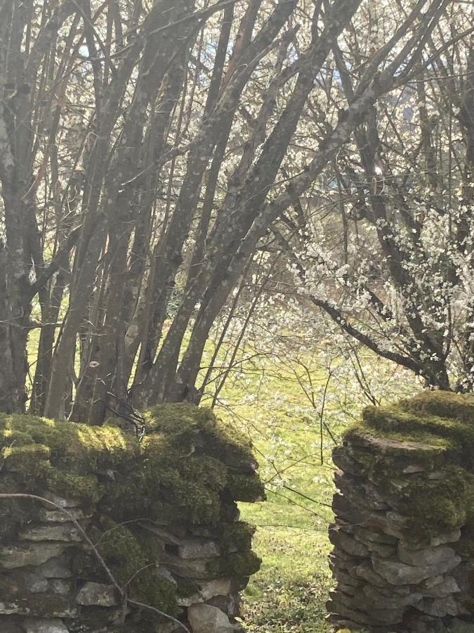 Le Jardin De Theleme "Charme Discret Pour Un Nid Douillet" Villa Mazille ภายนอก รูปภาพ